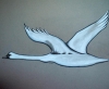 Swan by  Cielo